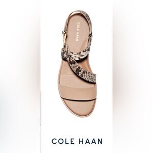Cole Haan Findra Strappy Sandals Shoes Women's Size 8 Beige Black Leather Snake